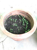 BHARGAV M. review photo