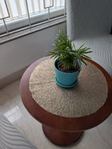 Jaya P. review photo