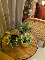 Surabhi C. review photo