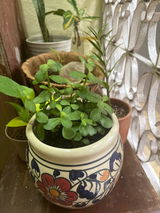 Preeti A. review photo