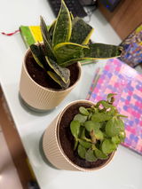 Ritika P. review photo
