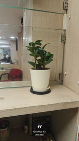 Pratibha R. review photo