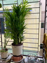 ABHISHEK D. review photo