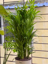 ABHISHEK D. review photo