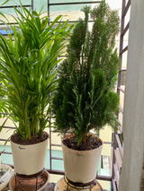 ABHISHEK D. review photo