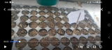 Gauri N. review photo