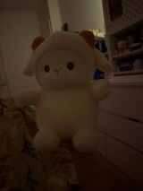 EVERAU® Poco Lamb Toy