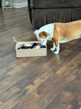 Nicole T review photo