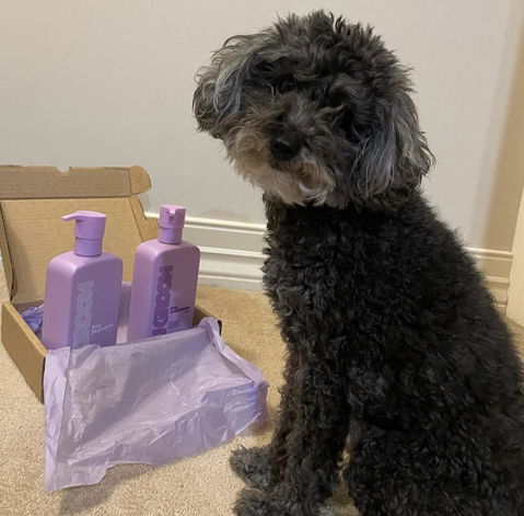 U Groom Dog Shampoo & Conditioner Duo