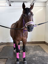 Annelies Bowl review photo