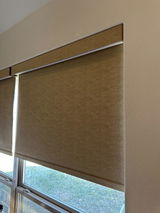 Beebe review photo
