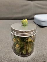 Mendosa C. review photo