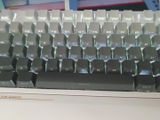 Beesley review photo