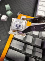 Tom O. review photo