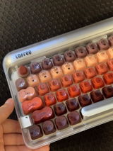 Leo P. review photo