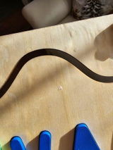 Renuka S. review photo