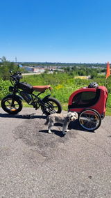 jacques beaudoin review photo