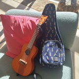 Paul k Kanat review photo