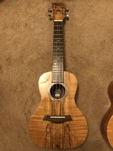 K.P. review photo