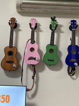 Stephen Shaw review photo