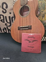 Susan Collins review photo