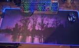 Dawn-Marie Shimmin review photo