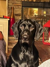 Kara Yancey review photo