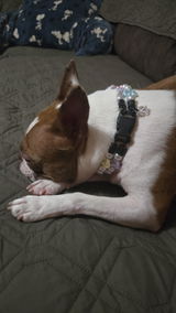 Maggie review photo