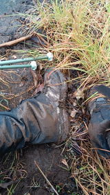 Lisa L. review photo