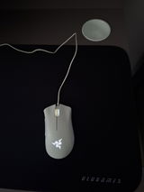 Lexer1 review photo