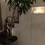 曉寧 張 review photo