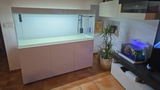 Raul N. review photo