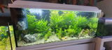 Carlos C. review photo