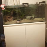 Tomasa S. review photo