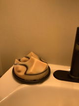 Tricia Bodner review photo