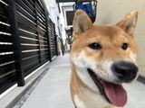 テ. review photo