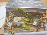 匿　名 review photo