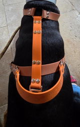 Audrey review photo