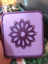 Carolane Delmotte review photo