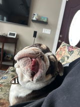 Anonymous review photo
