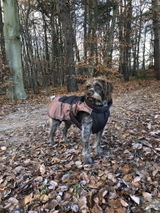 Keienburg Marlies review photo
