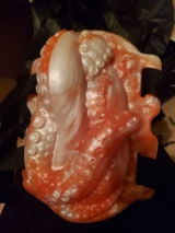 S.B. review photo