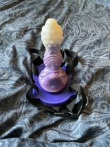 I.I.S. review photo
