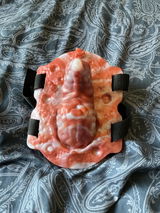 I.I.S. review photo