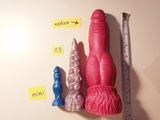 S. review photo