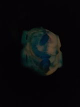 S.S. review photo