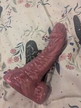 T. review photo