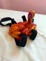 T.T. review photo
