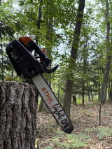 Timber Branch Repair LLC review photo