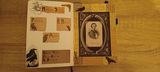 Kelly F. review photo